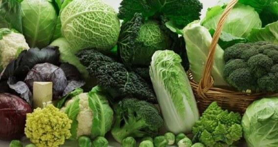 sayur brassica