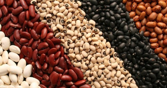 lentil dan kacang
