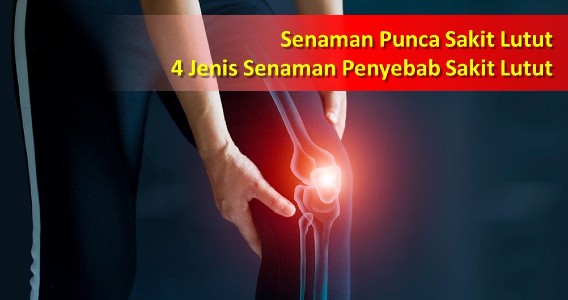 senaman punca sakit lutut